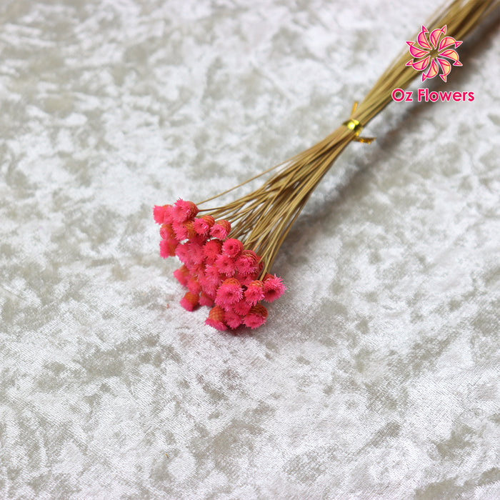 Hot Pink Natural Dried Happy Flower Bunch