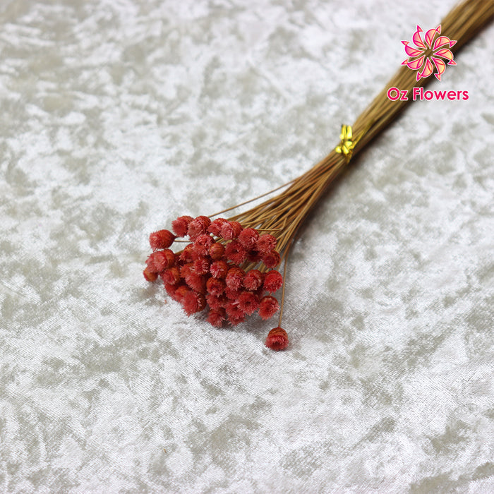 Red Color Natural Dried Happy Flower Bunch