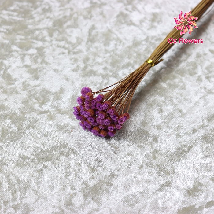 Purple Natural Dried Happy Flower Bunch