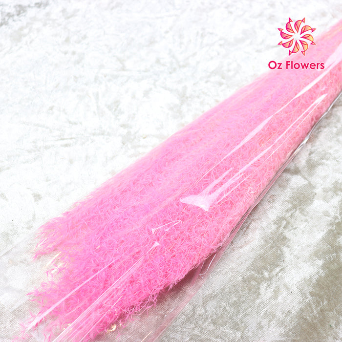 Pink Natural Dried Pampas Dust Bunch