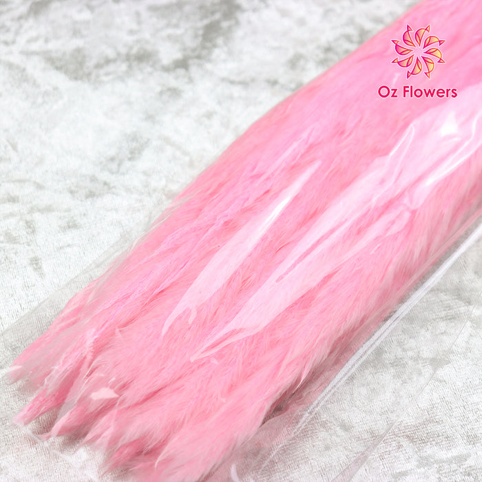 Pink Natural Dried Pampas Grass Flower Bunch