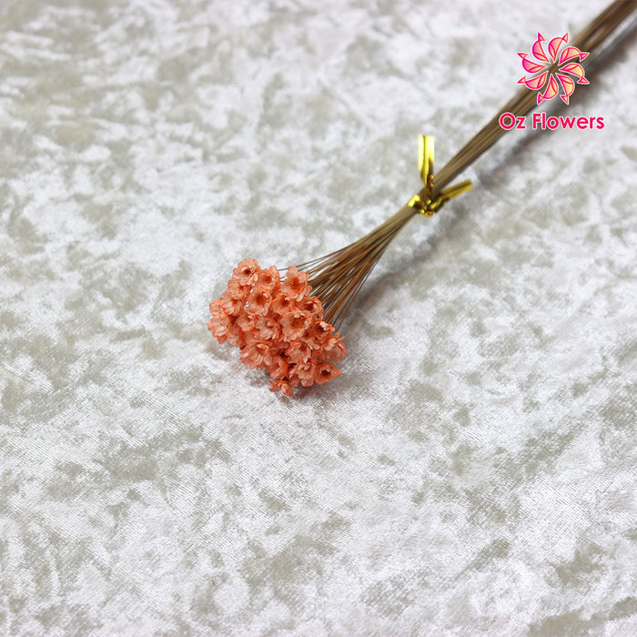 Orange Natural Dried Small Star Flower Bunch