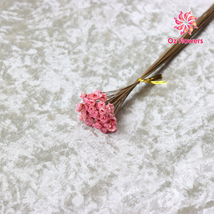 Pink Natural Dried Small Star Flower Bunch