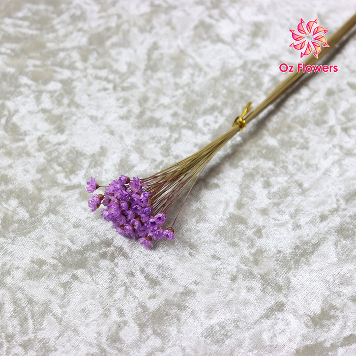 Purple Natural Dried Small Star Flower Bunch