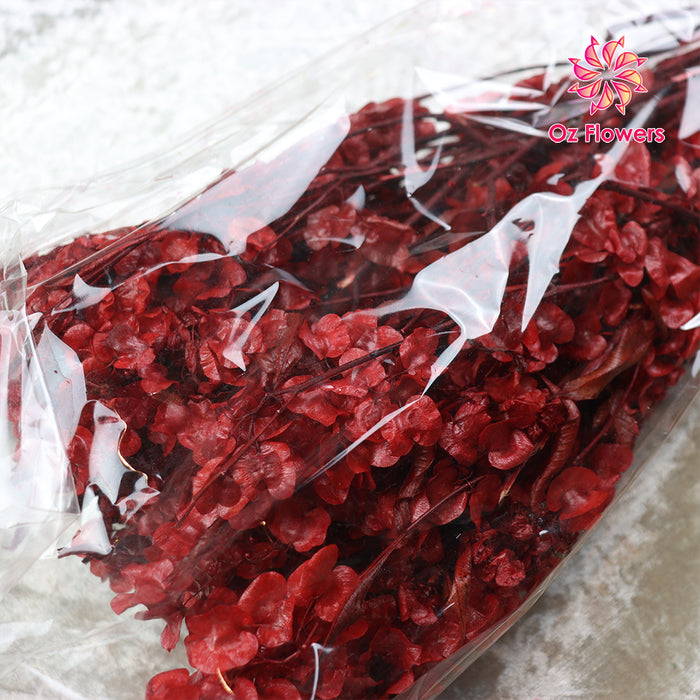 Red Natural Dried Welcome Bean Flowers Bunch